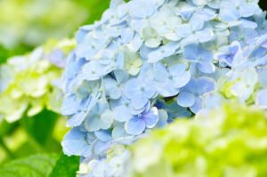 2021年6月の予定表