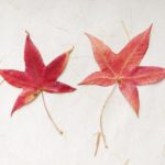 ２０２１年１１月の予定です。